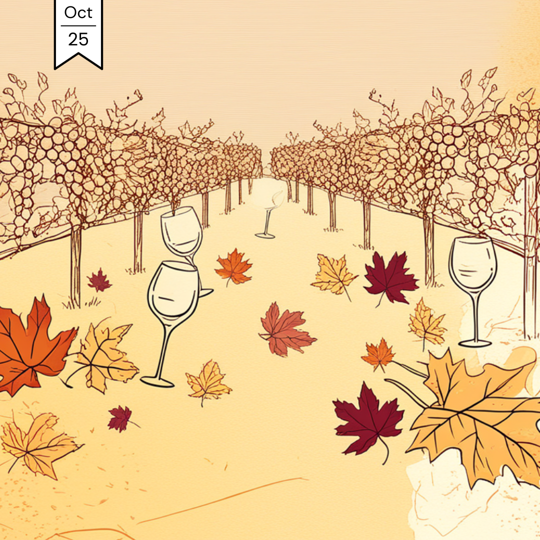 Fall Wine Fest: Our Favorite Producers, Grapes & Regions