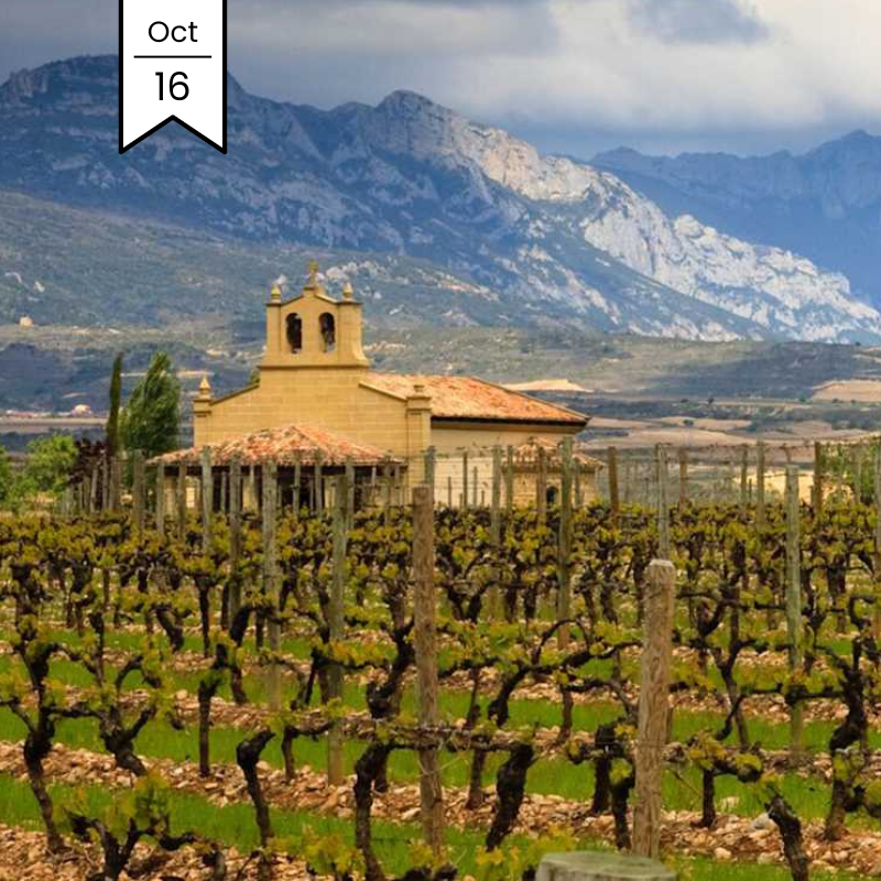 Rueda, Rioja, Ribera MasterClass with Marqués de Cáceres