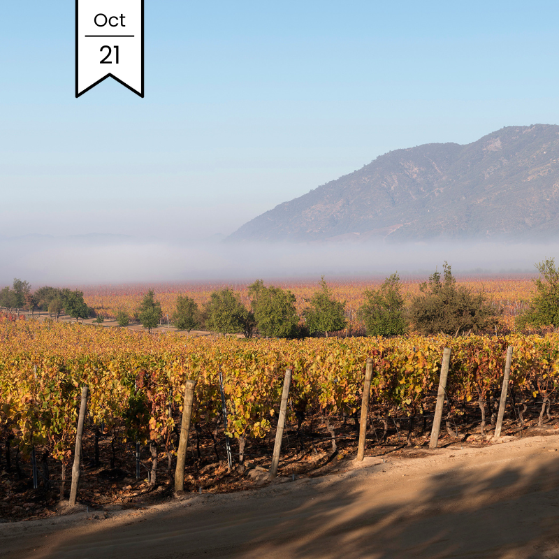 Chile MasterClass with Lapostolle