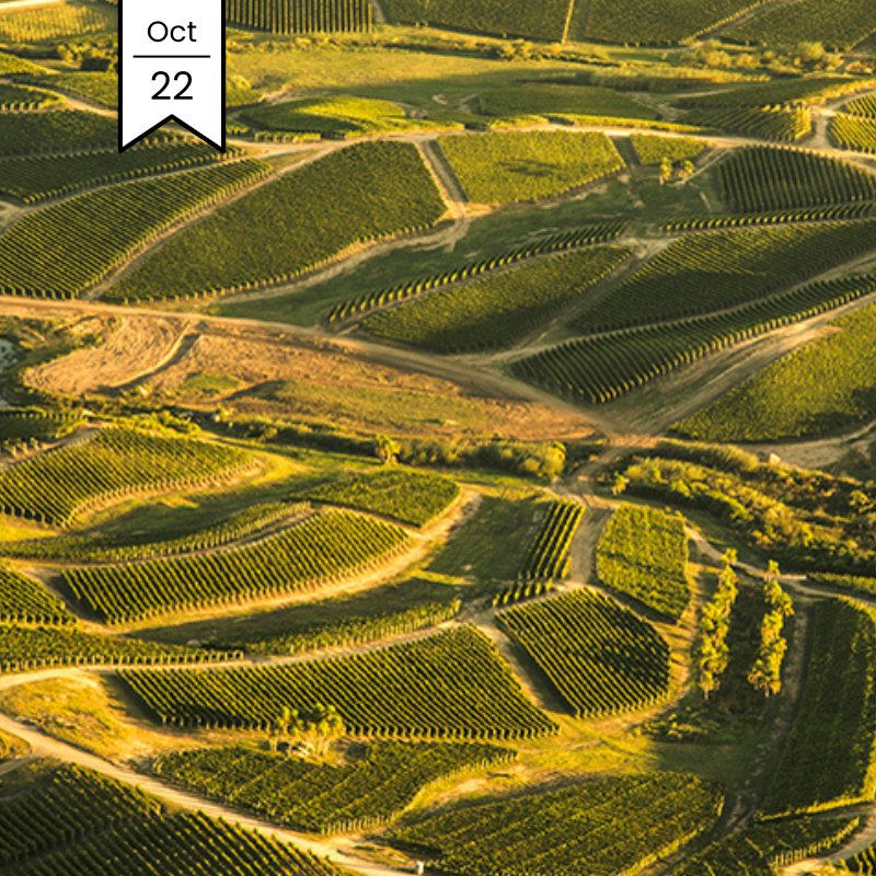 Uruguay MasterClass with Bodega Garzón