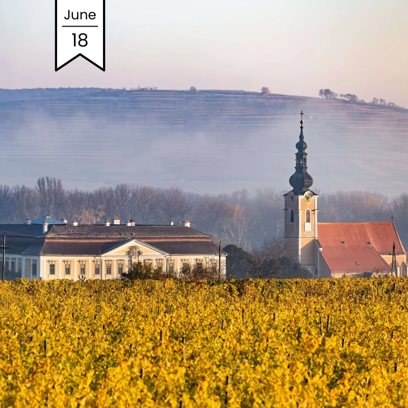 Kamptal MasterClass with Schloss Gobelsburg