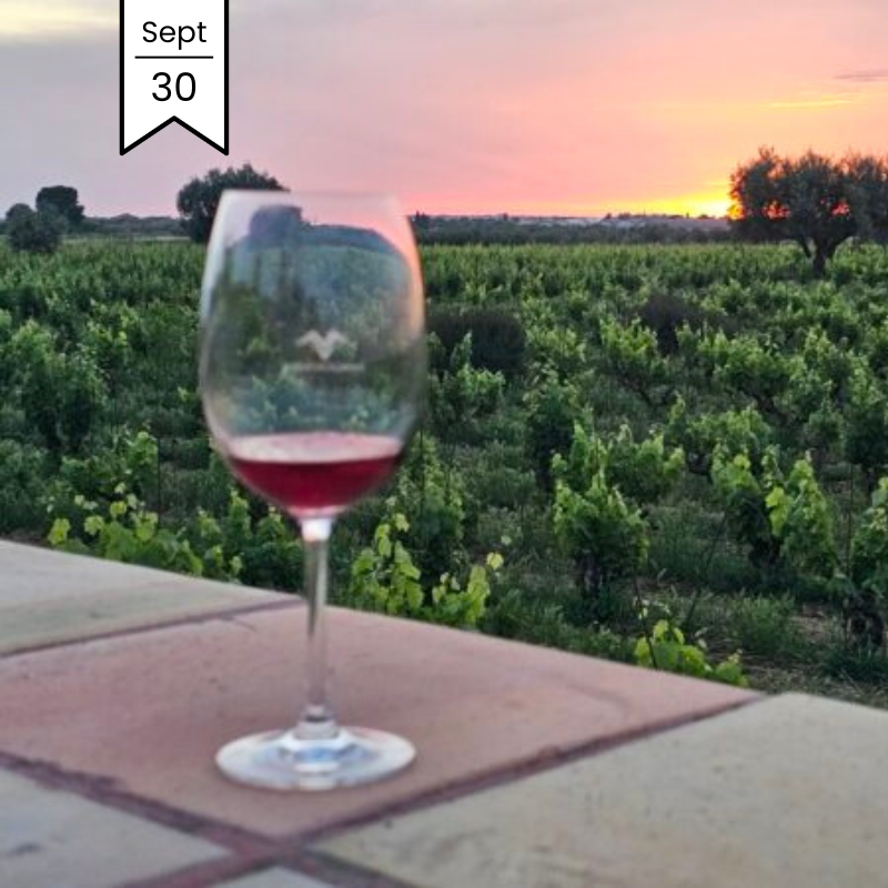 Cantina Horus Sicily MasterClass