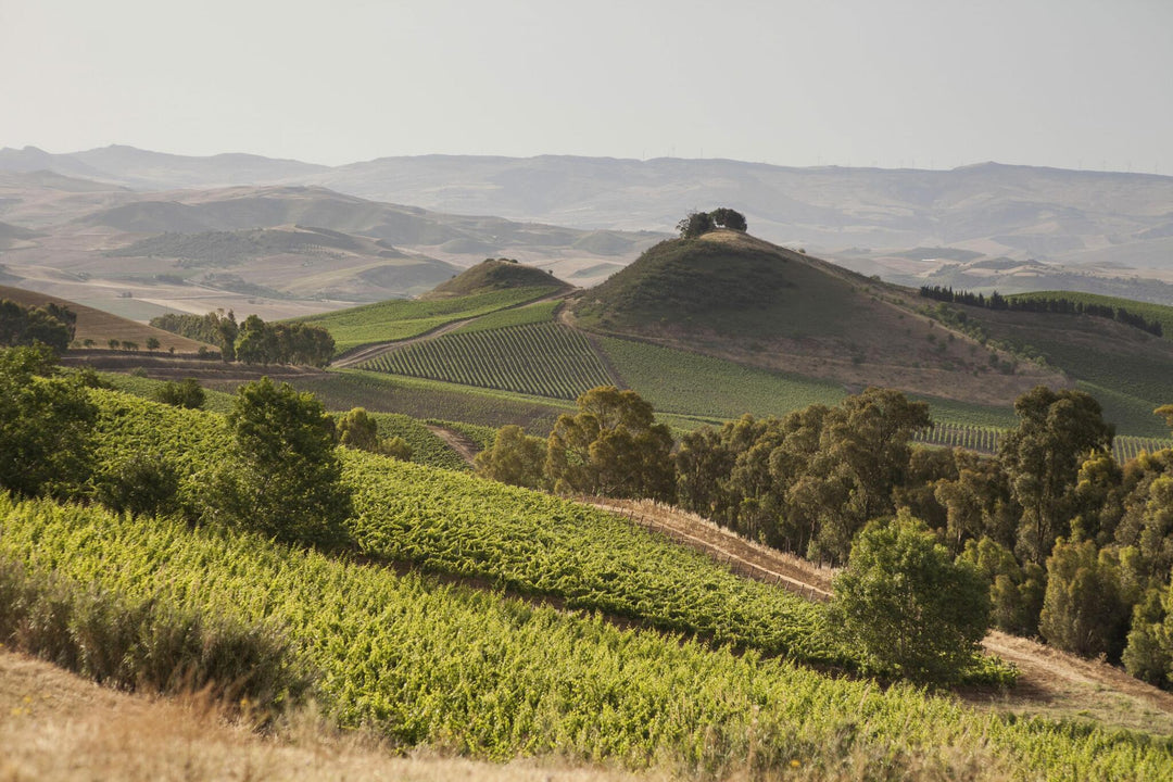 Love and Valentine’s Day in Sicily