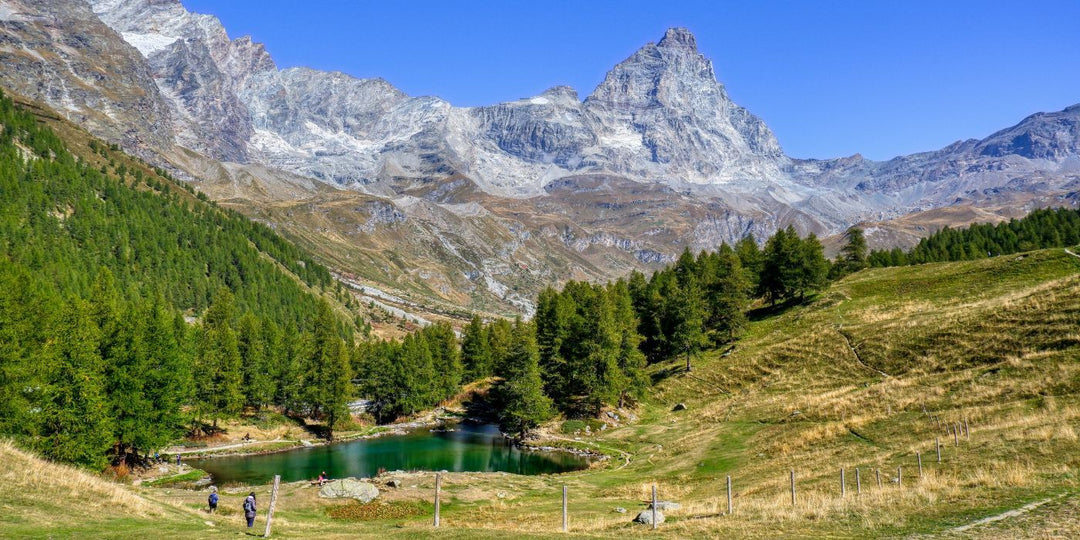 Alpine Beauty from Vallée d'Aosta