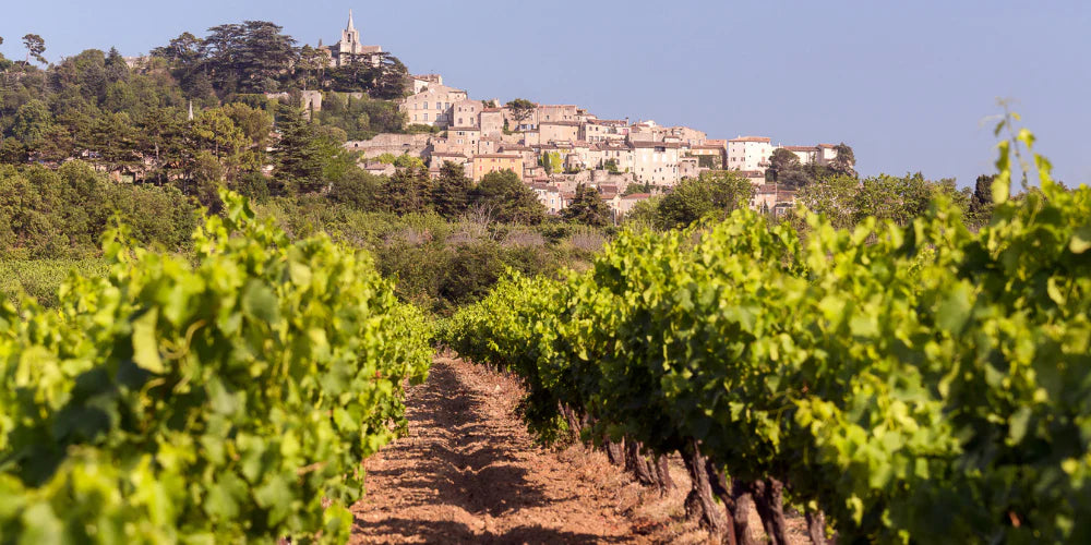 The elegance of Burgundy meets the sunshine of Provence