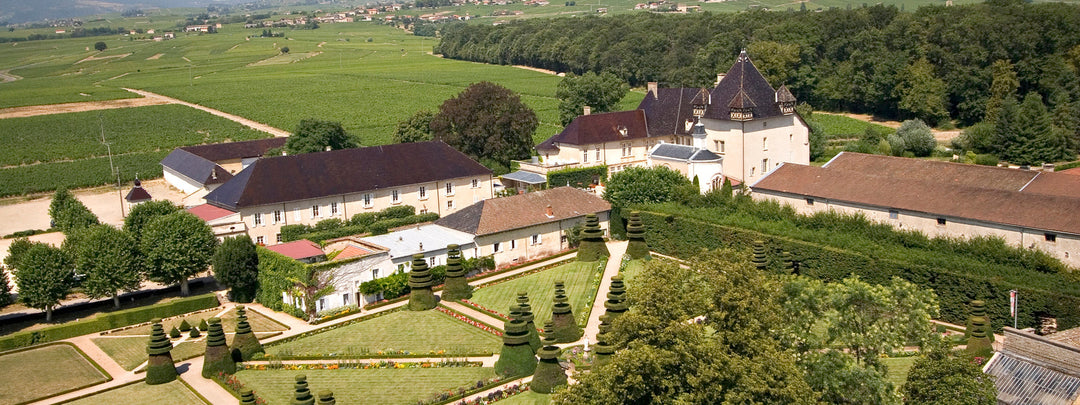 A Beaujolais For Every Day