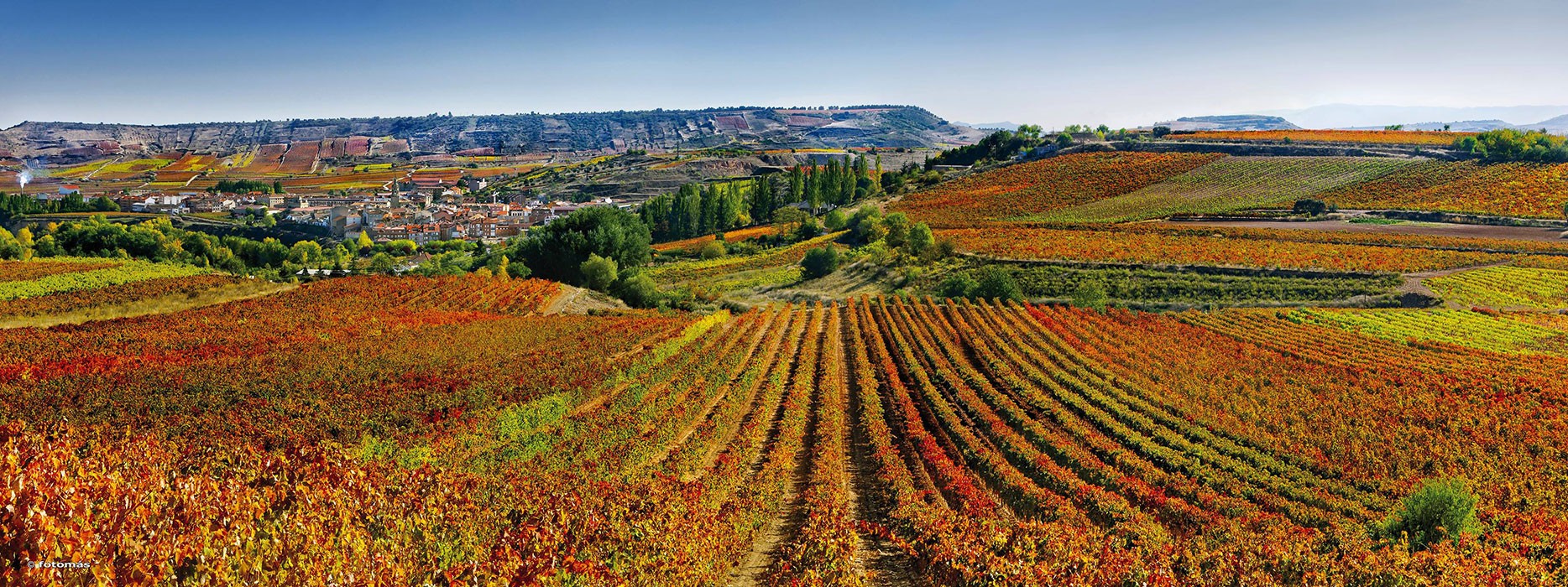 Remarkable Rioja at Every Level