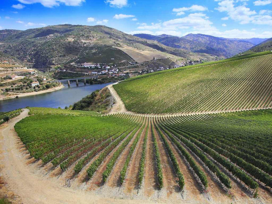 Ribera del Duero for Summer!