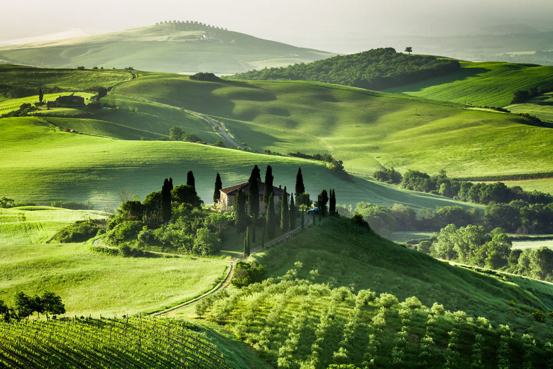 A Noble Name in Montalcino