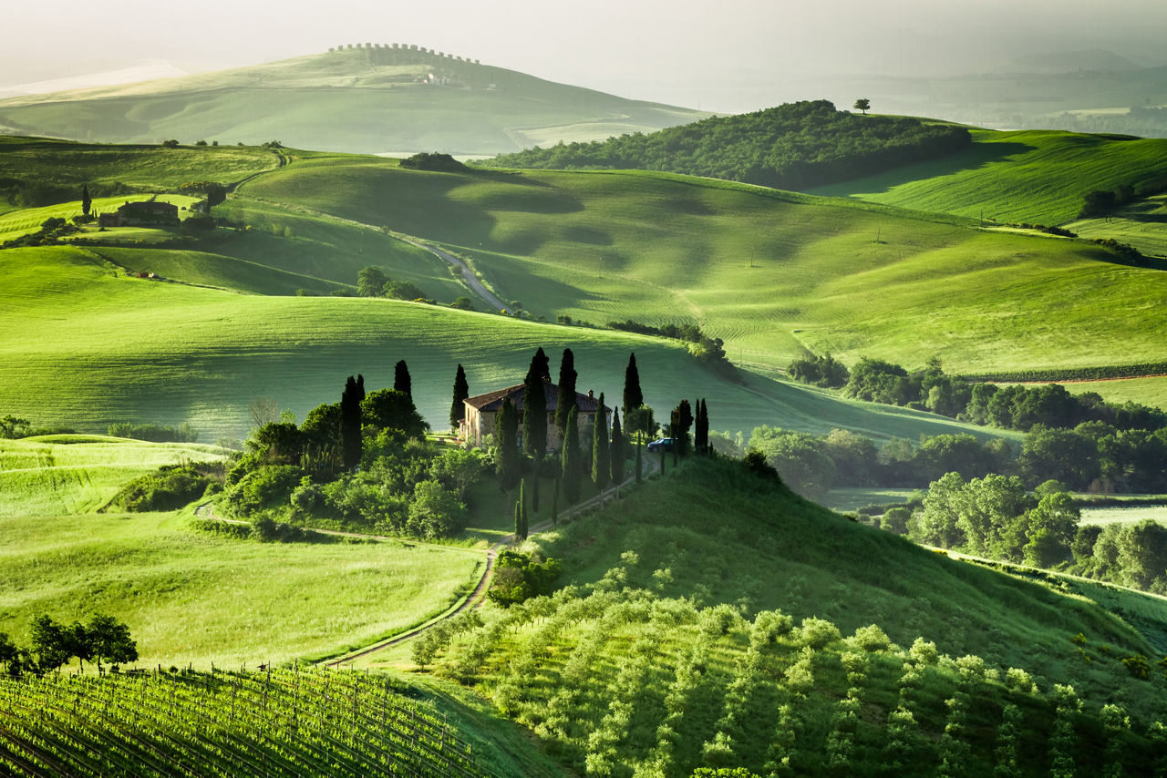 A Noble Name in Montalcino