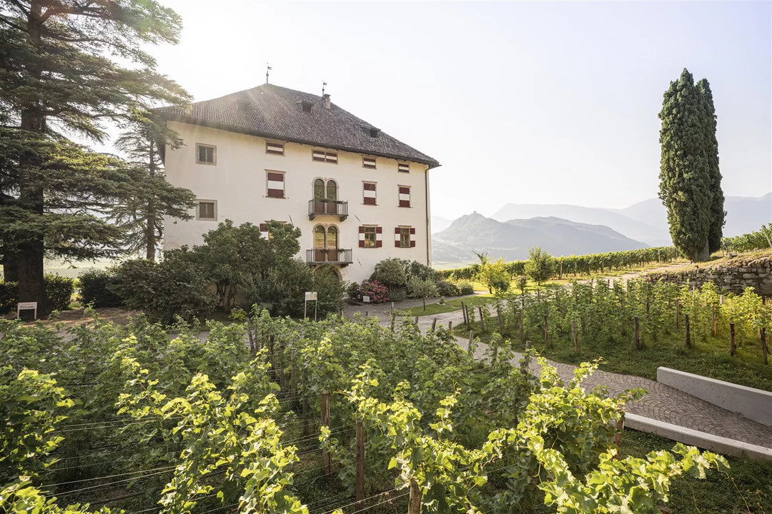 Gewurz from Traminer by Elena Walch