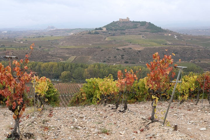 Classic Crianza by Señorío de Peciña
