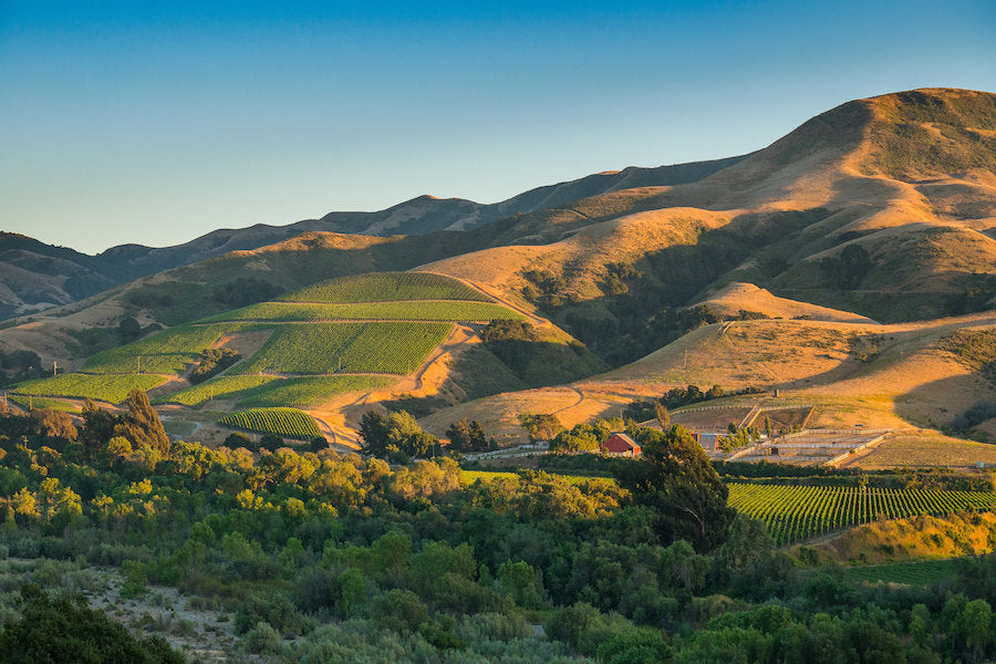 Sta. Rita Hills Pinot at its finest.