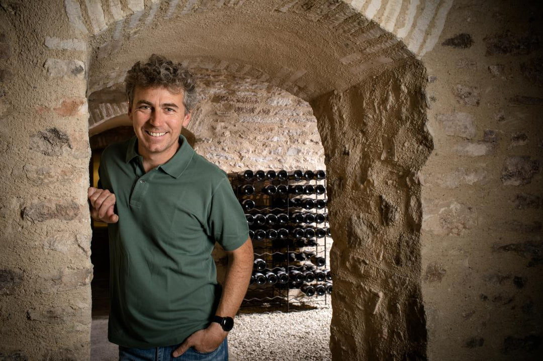 2024 Domaine Louis Michel et Fils Chablis, Purity in Wine