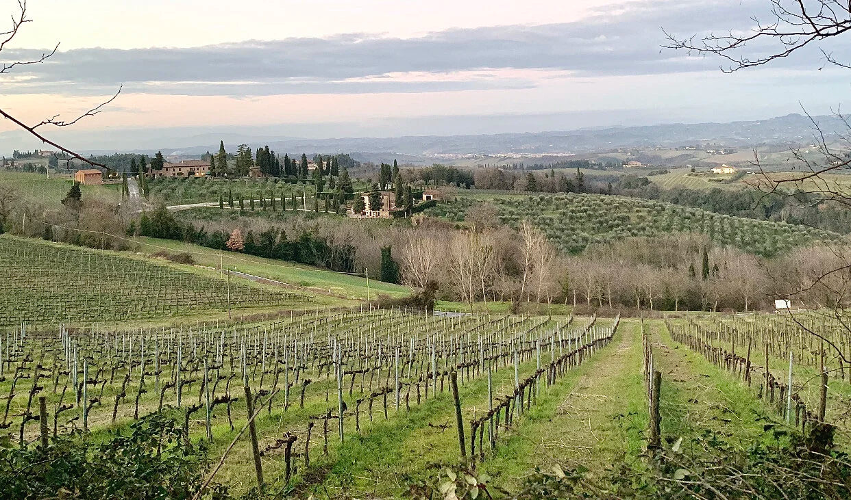 Biodynamic beauty from two sisters in Montalcino