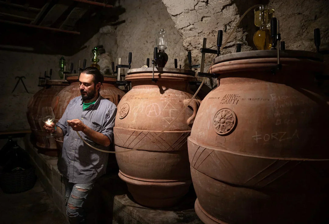 Vine Farmer Importer Series Day 3: Two Stunning New Wines from Cantina Annesanti
