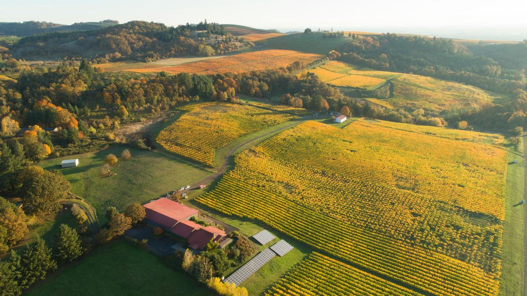 Five Decades of Eola-Amity Excellence