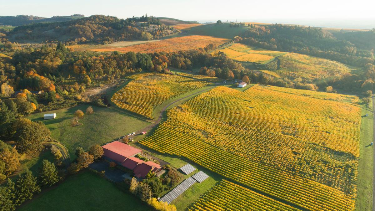 Five Decades of Eola-Amity Excellence