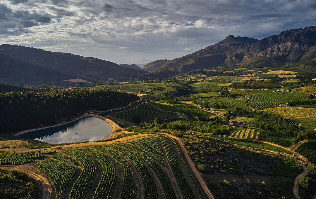 Dry Klein Constantia? Or Just Delicious SA Sauvignon?