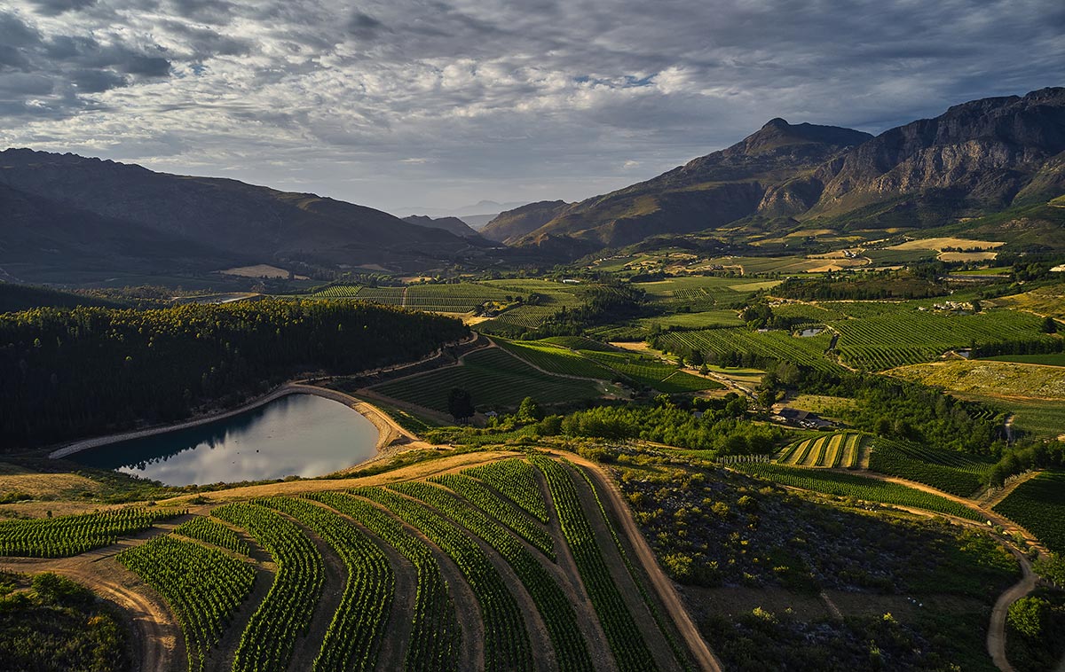 Dry Klein Constantia? Or Just Delicious SA Sauvignon?