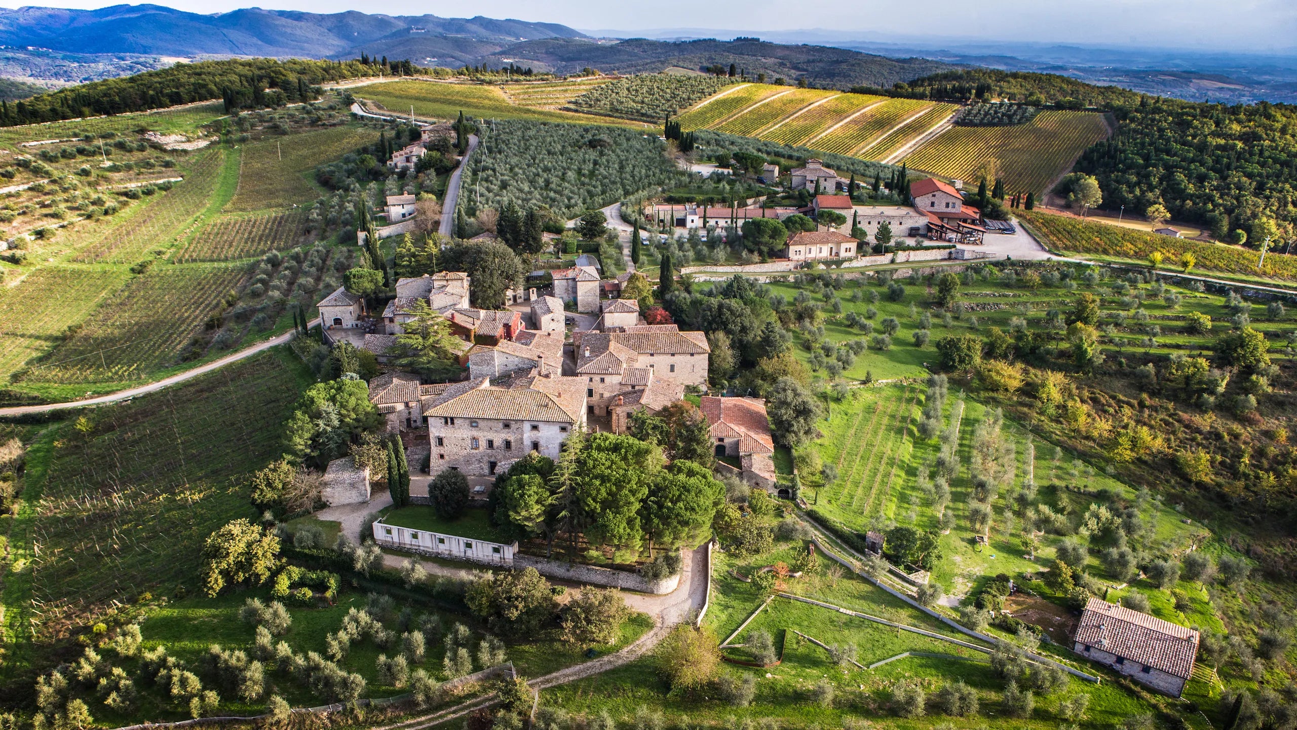 Hidden Gem of Chianti’s Tough 2023 Vintage