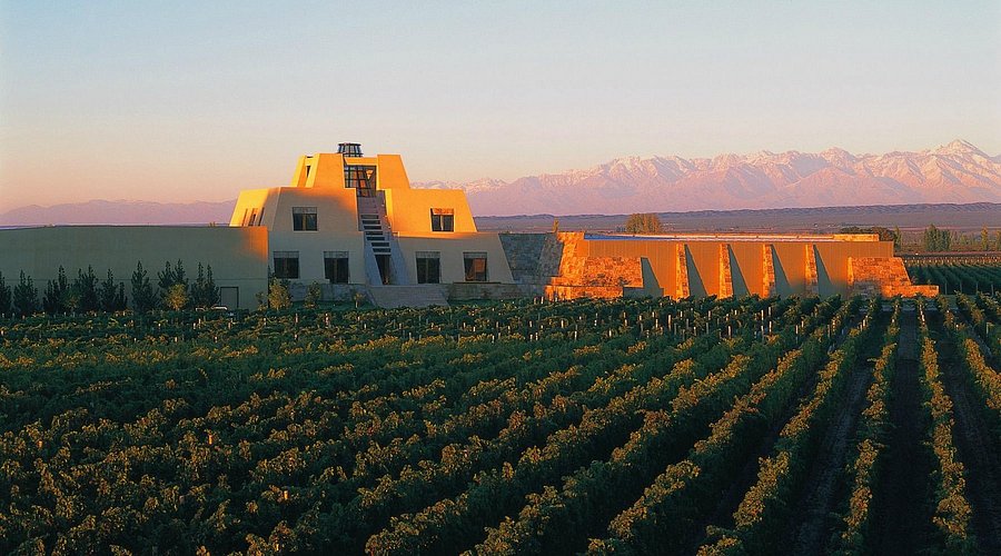 Benchmark Malbec by Catena, 95 Points
