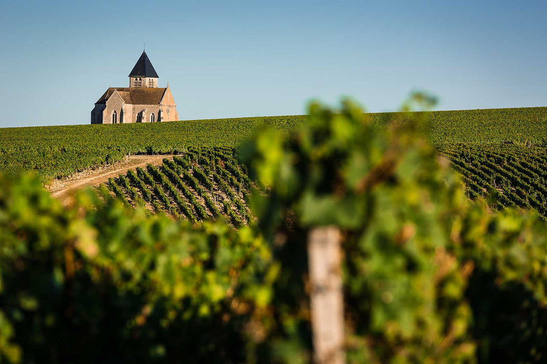 The Easy-Yes Chablis