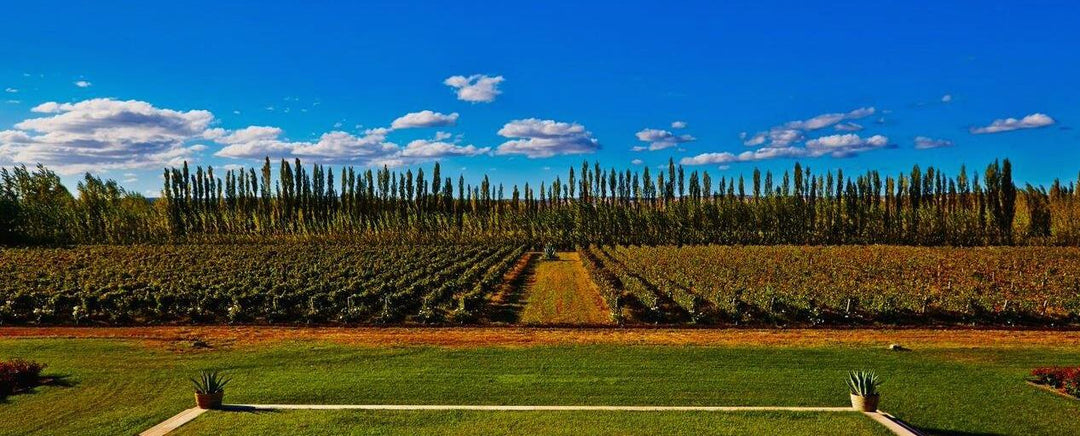 Patagonia’s Purest Pinot Noir: Chacra’s 2024 ‘Barda’