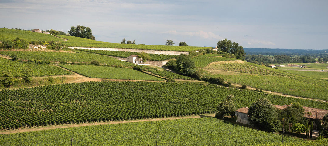 St Emilion’s 2022; Dense Merlot and Perfumed Cabernet Franc