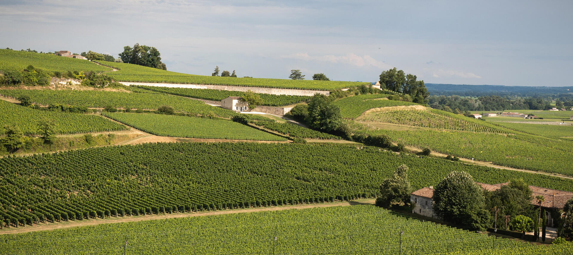 St Emilion’s 2022; Dense Merlot and Perfumed Cabernet Franc