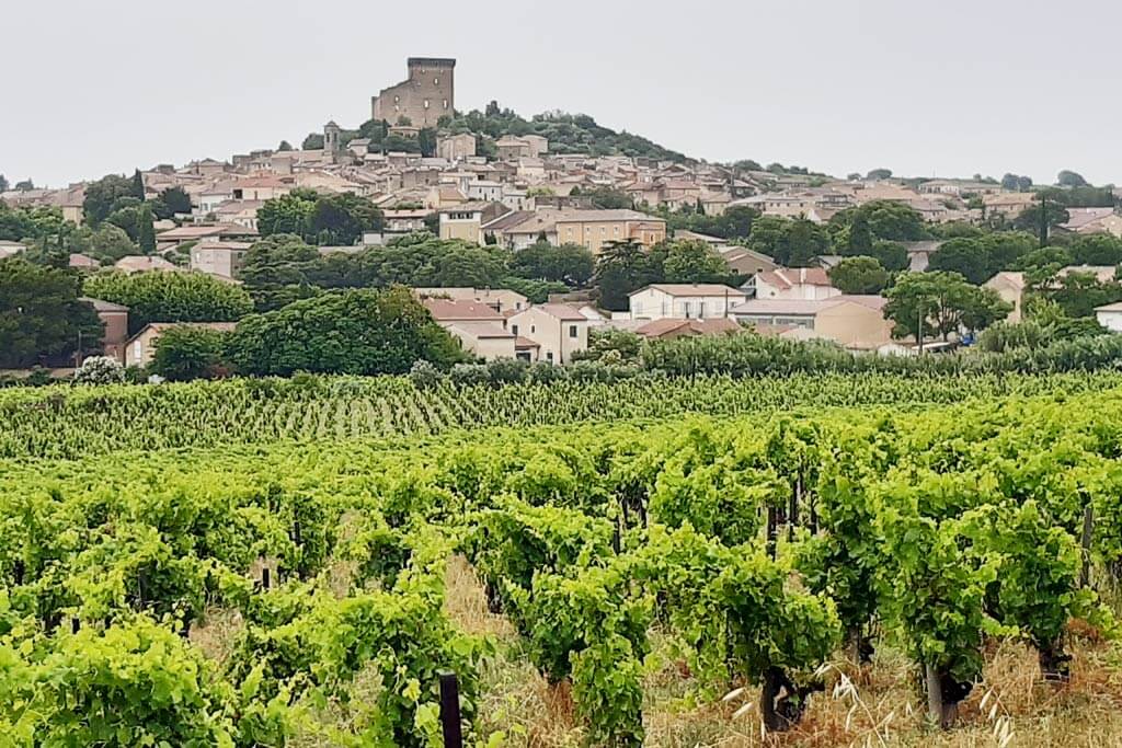 When in Doubt, Châteauneuf Makes Friends
