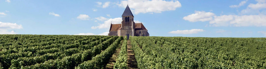 Chablis Case Buy Alert