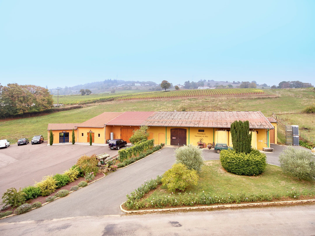 The Best Value in Burgundy? Thevenet Macon Blanc
