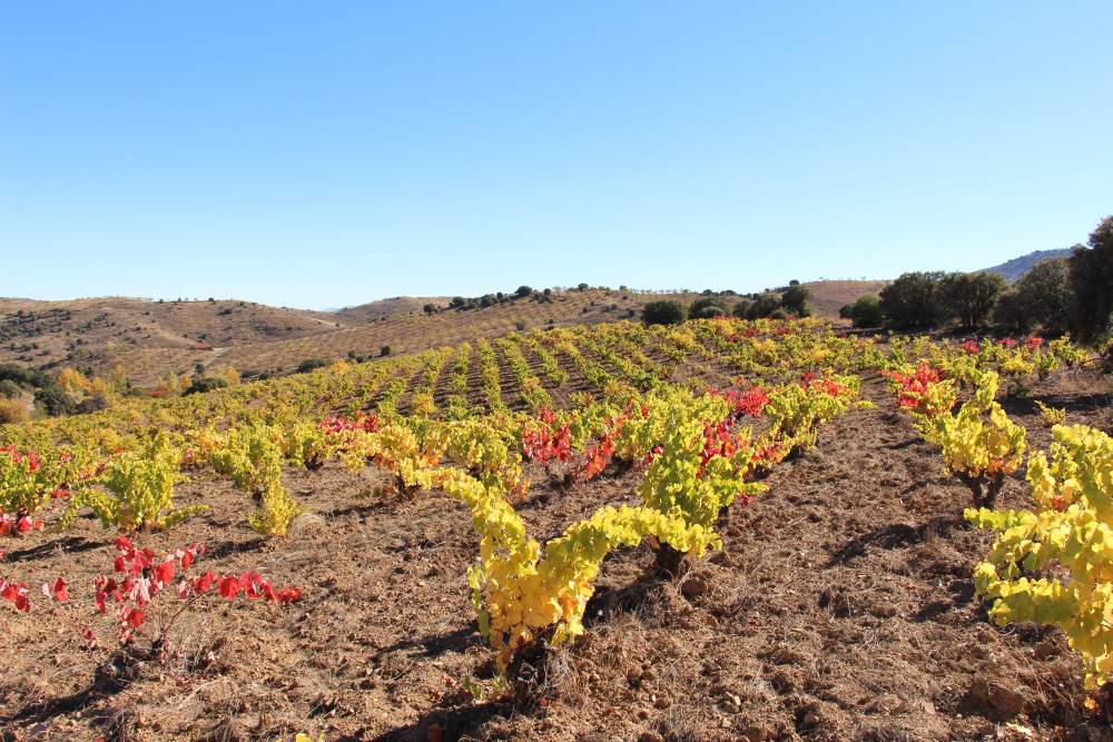 Top 100 Wine Spectator Wine, $14.98