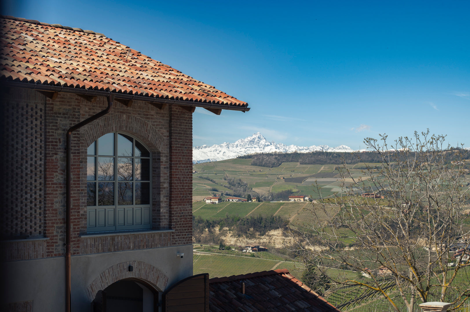 Cascina Penna-Currado’s Timorasso: A Brilliant New Chapter Begins
