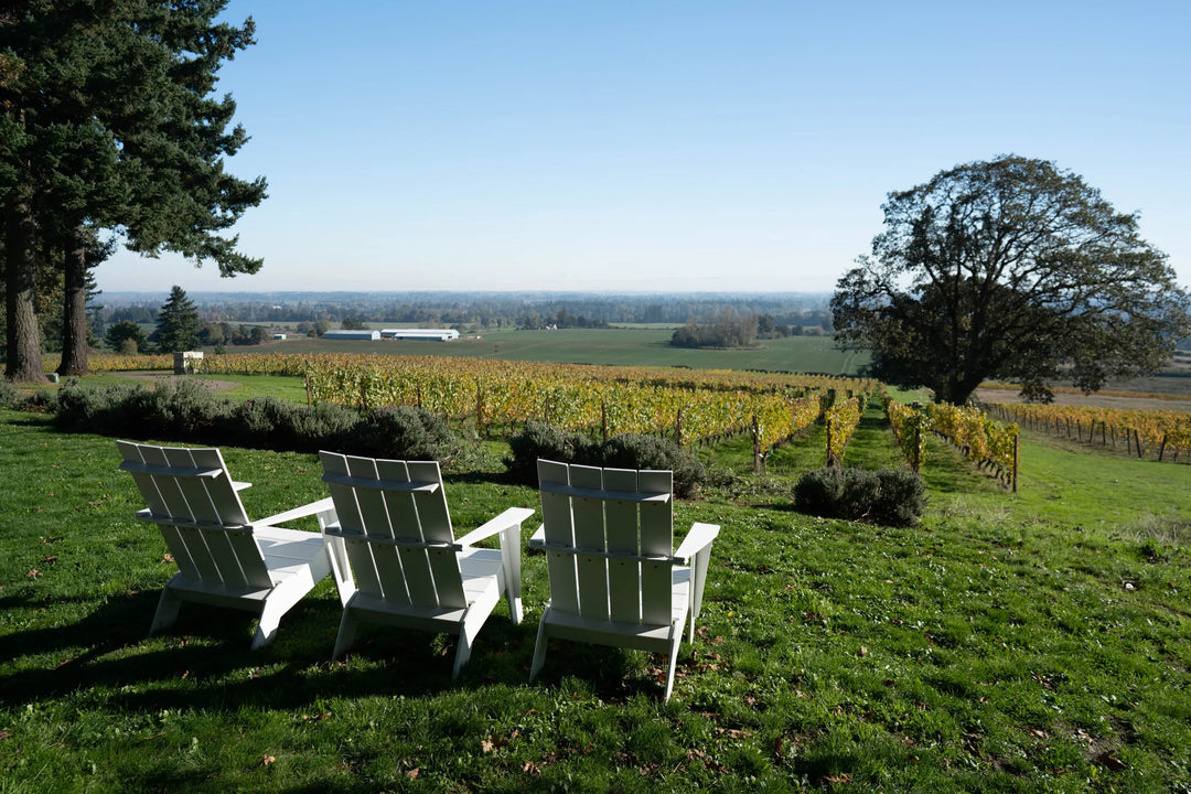 The Best Value in Oregon Pinot Noir is Back: Evesham Wood 2024