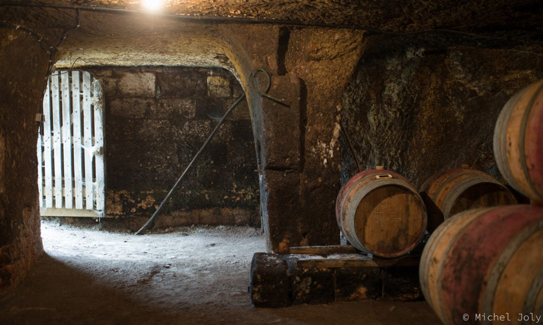 Not Your Average Pink Wine — 2023 Guiberteau Saumur Rosé Has Landed!