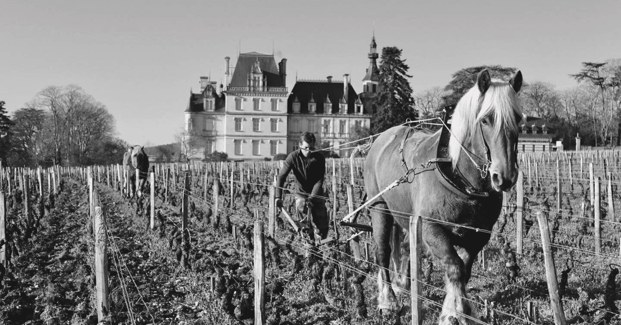 The Benchmark in Marsannay – Domaine Jean Fournier’s Brilliant 2023s