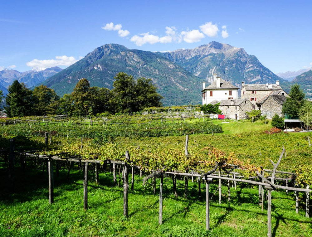 The Highest of Alto Piemonte; Nebbiolo With a Soul