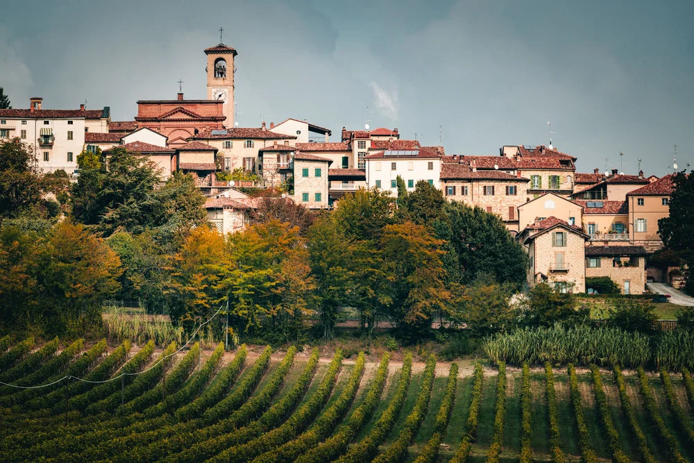 Piedmont’s Troublemakers: Grignolino & Freisa from La Casaccia