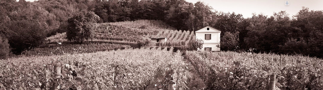 From the Foothills of the Alps, Le Piane Colline Novaresi