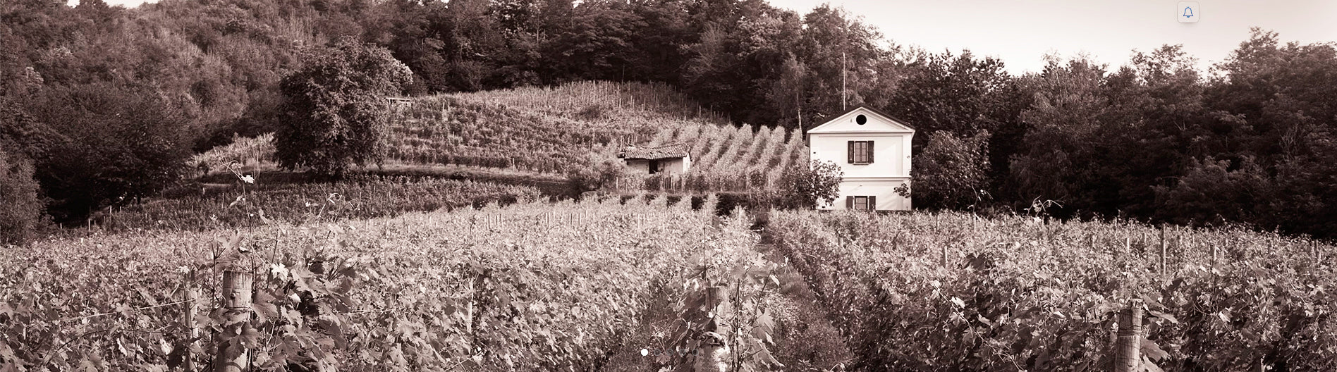 From the Foothills of the Alps, Le Piane Colline Novaresi