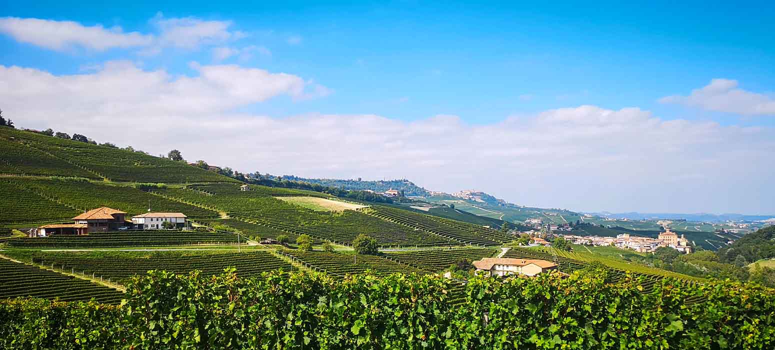 Novello’s Hidden Gem