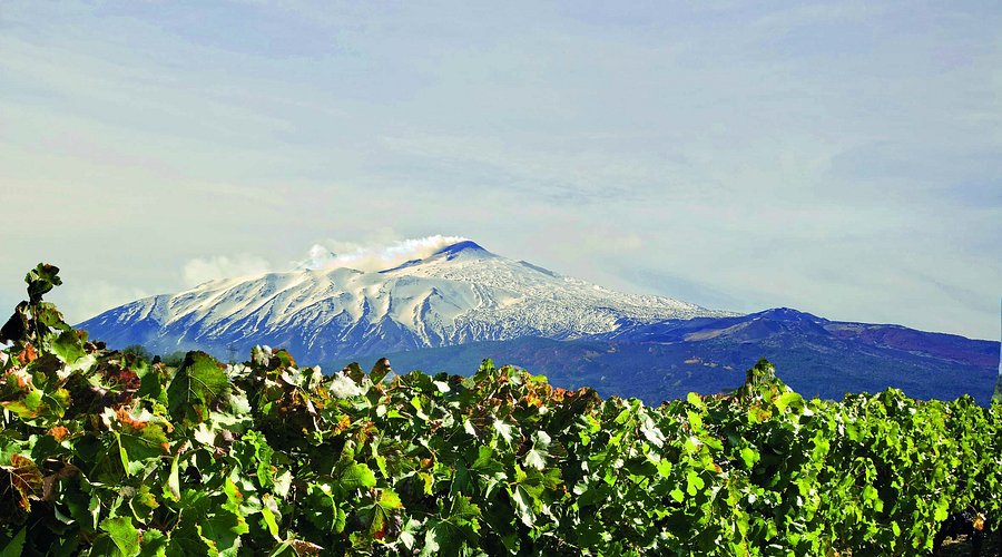 Two Vintage of Passopisciaro Etna Ross, 94 Points