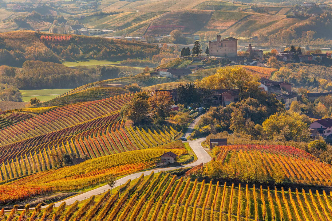 The Coolest Red for the Hottest Days; Sottimano’s Brachetto