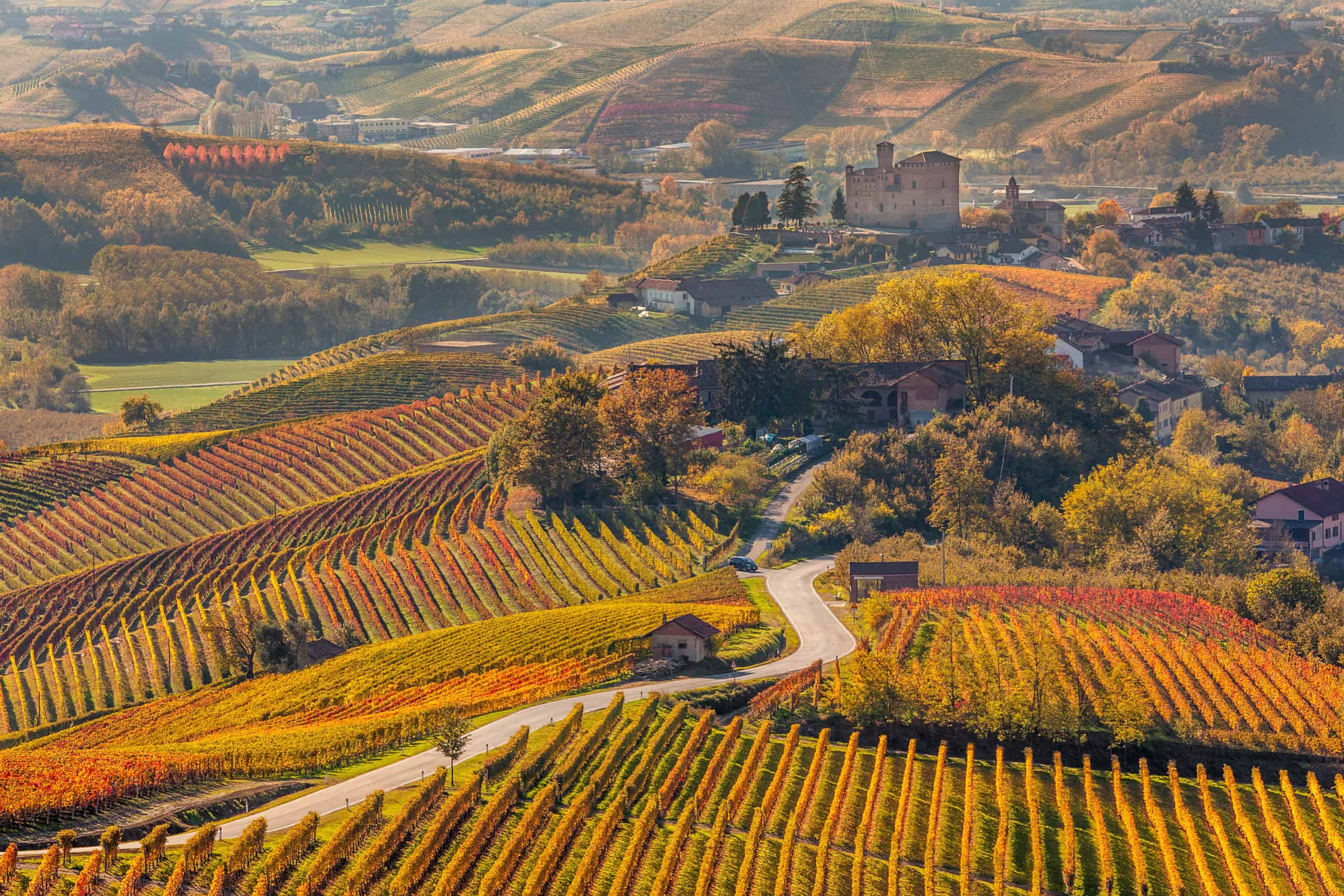The Coolest Red for the Hottest Days; Sottimano’s Brachetto