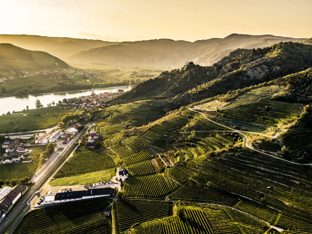 Grüner With Grit – Introducing Josef Fischer’s 2023 'Rossatz'