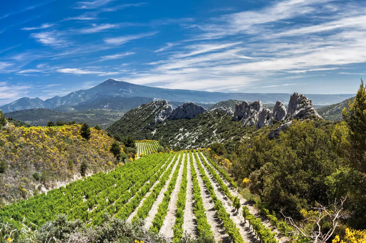 Cotes du Rhone that drinks like Chateauneuf