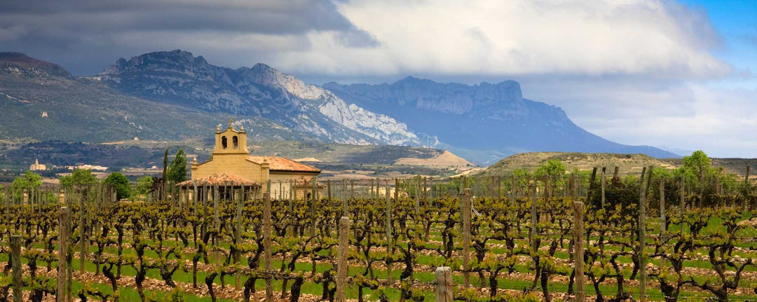 Resurrecting Tintilla de Rota: The 2021 Vara y Pulgar Tinto