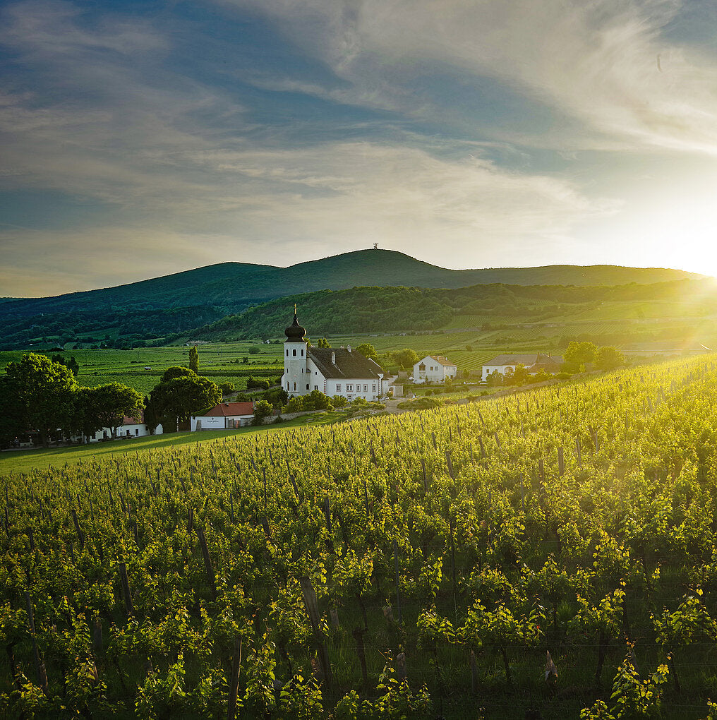 We should all drink more Austrian wine!!